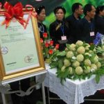 01 150x150 - Danh hài Thu Trang hoa hậu hài đáng yêu của làng hài Việt!