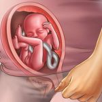mang thai tuan 20 150x150 - Những thông tin cần thiết đối với bà bầu bị tiểu đường thai kỳ