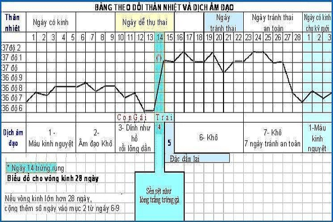 Cách tính ngày rụng trứng dựa vào thân nhiệt và dịch nhầy tử cung giúp các cặp đôi chủ động sinh con trai theo ý muốn - Ảnh Internet