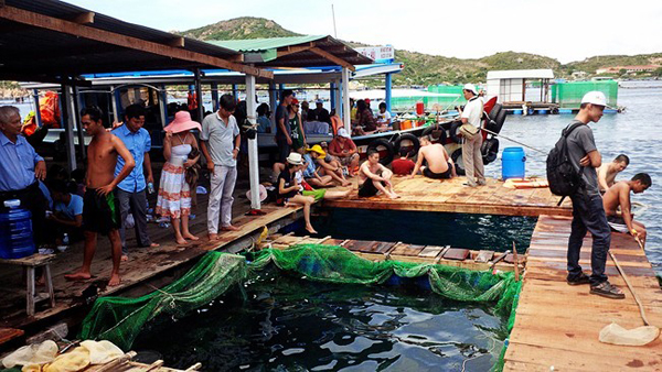 hai san lang chai nha trang 1 - Muốn thưởng thức hải sản Nha Trang ngon hãy ghé những địa điểm này