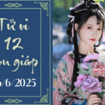 Mẹ cần biết 10 loại thực phẩm tốt cho đôi mắt của trẻ 12 con giap 2025 06 26t070050298 07133436 150x150 - Mẹ cần biết 10 loại thực phẩm tốt cho đôi mắt của trẻ