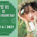 tu vi 12 cung hoang dao 2025 06 22t094313491 09454814 150x150 - 4 c&aacute;ch giảm c&acirc;n cho phụ nữ sau sinh hiệu quả nhất