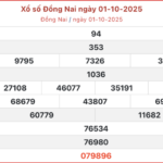 ket qua xo so dong nai hom nay 8 10 2025 16534848 150x150 - UAE dựng 'lồng th&eacute;p khổng lồ' đối ph&oacute; UAV Iran